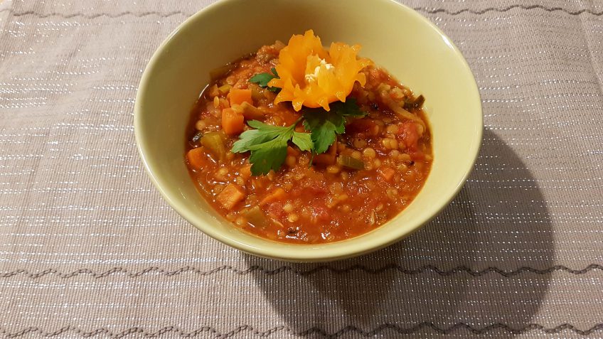 Rote Linsensuppe nach indischer Art – Vegane Rezepte